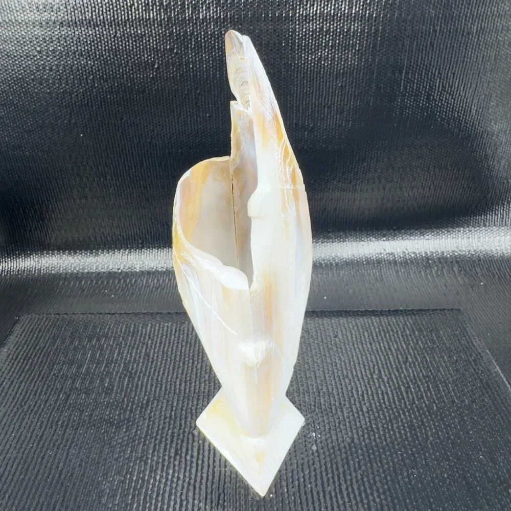 Vintage Mother of Pearl Nautalis Shell Footed Vase‎ Shiny Finish Hand Made Vase